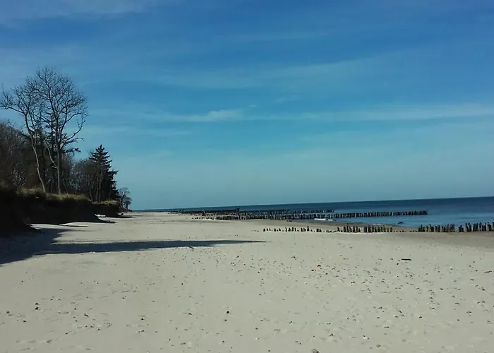 Rose קולובז'ג