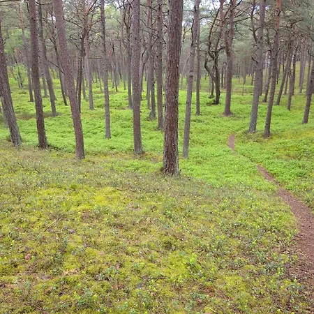 Rose Apartamento Kołobrzeg