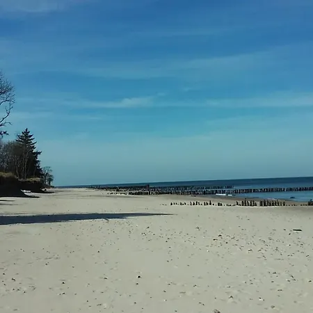 Rose コウォブジェク