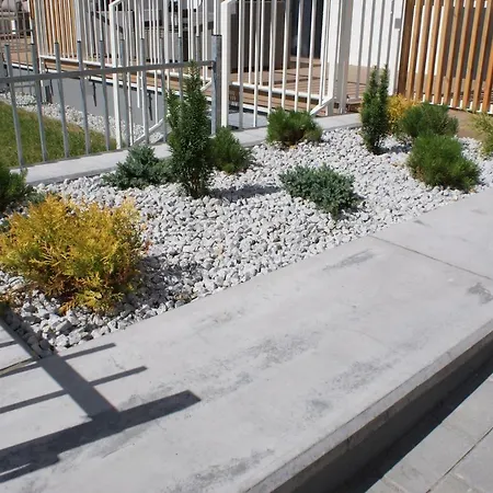 Rose コウォブジェク