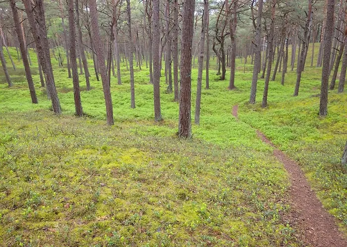 Rose Apartament Kołobrzeg